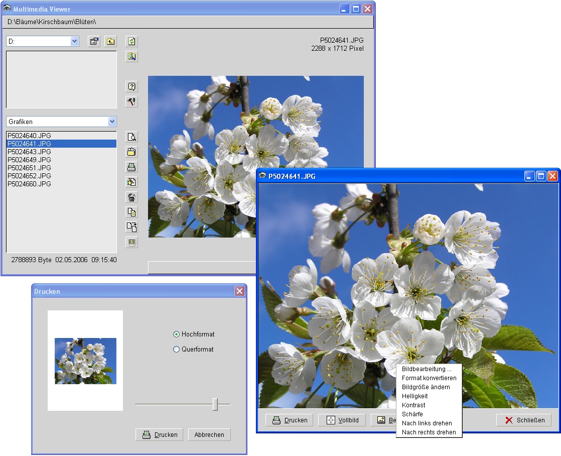 Screenshot vom Programm: Multimedia Viewer